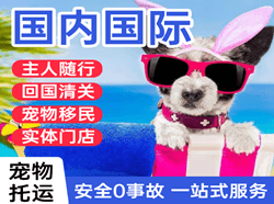 阿拉善左旗巴彦浩特空运地址国际宠物托运 【国